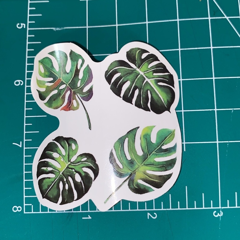 π20/$12π Tropical Leaf Sticker - Picture 2 of 3